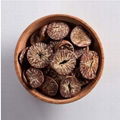 Dried Betel Nuts with High Quality 2