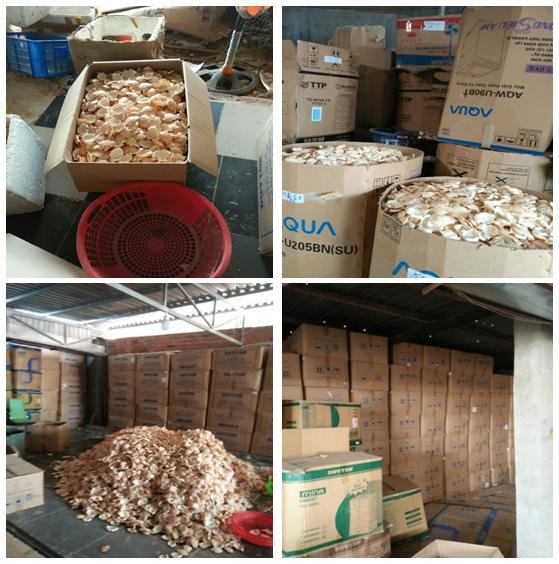 Dried Crab Shell with High Quality and Best Price 4