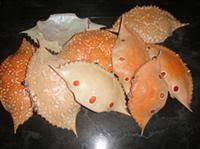 Dried Crab Shell with High Quality and Best Price 2