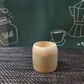 Why dont you use Eco Friendly Bamboo Cup
