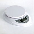 5kg/1g Digital household kitchen scale