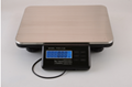Bench Shipping Scale