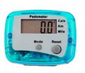 Pedometer