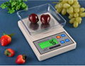 Green backlight digital kitchen scale