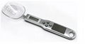 Counting function Spoon Scale