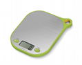 ML Display Kitchen Scale