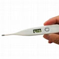 Hard head Cheap price digital thermometer