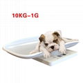 Pet scale