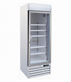 Upright Glass Door Freezer 1