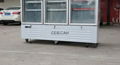 3 Glass Door Display Freezer 5