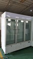 3 Glass Door Display Freezer 13