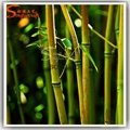 Nearly Natural Green Artificial Bamboo Fabric Silk Tree Plants 3