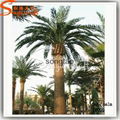 Home Garden Decoration Plant Artificial Date Palm Tree 4