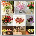 China Artificial Flowers Garden Flowers Import Silk Flowers 2