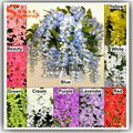 China Artificial Flowers Garden Flowers Import Silk Flowers 4