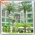 Professional Manufacturer Artificial Tree Palm Plant for Decoration 3