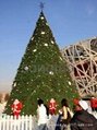 20M Artificial PE Christmas Trees LED Light on Wholesale 3