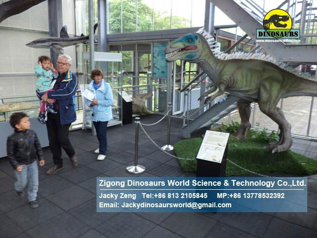 Life Size Dinosaur ,Animatronic Ornitholestes 3