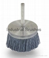 Professional Disc brushes 1