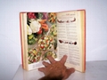 China customized book printing service 3