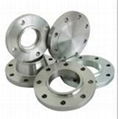 Forged Flanges