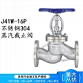 Stainless steel flange globe valve 6