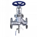 Stainless steel antibiotic shut-off valve 2