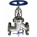 Stainless steel antibiotic shut-off valve