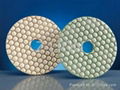 ZL-123D Dry Polishing Pads