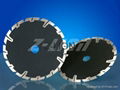 125mm Protected segment dry blade 1