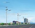 新農村太陽能路燈 1