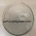 printing chemical sodium alginate  2