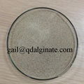 printing chemical sodium alginate 