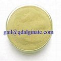 textile auxiliary  sodium alginate  4