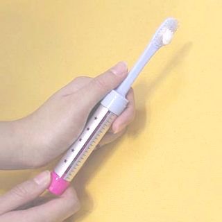 Refillable toothbrush