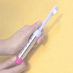 Refillable toothbrush