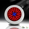 45*2W led grow light 1