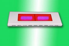 600W led grow light