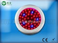 50W led grow light 1