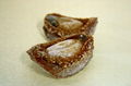 DRIED ABALONE 1