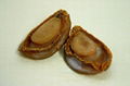 DRIED ABALONE