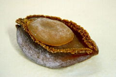 DRIED ABALONE