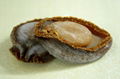 DRIED ABALONE 1