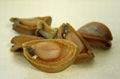 DRIED ABALONE 1