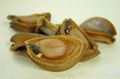 DRIED ABALONE 1