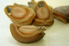 DRIED ABALONE