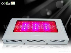 144x3W LED植物灯