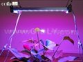 44W防水组合LED植物灯（120cm）