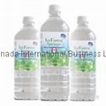 Canadian Natural Spring Water