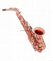 NEW Professional Eb Alto Saxophone Rose Gold Plated 1